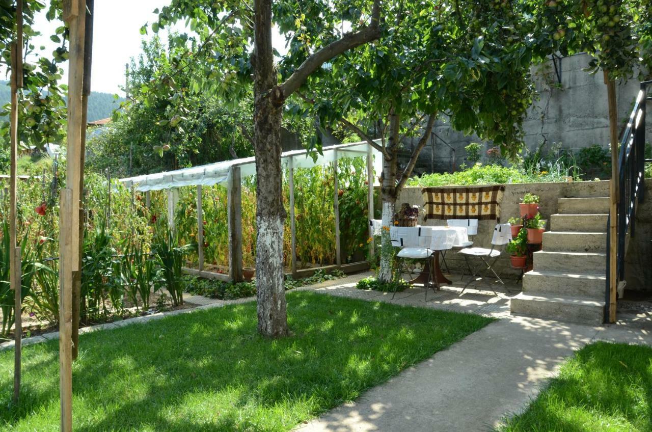 Къща За Гости Солакови ** Devin Exterior photo
