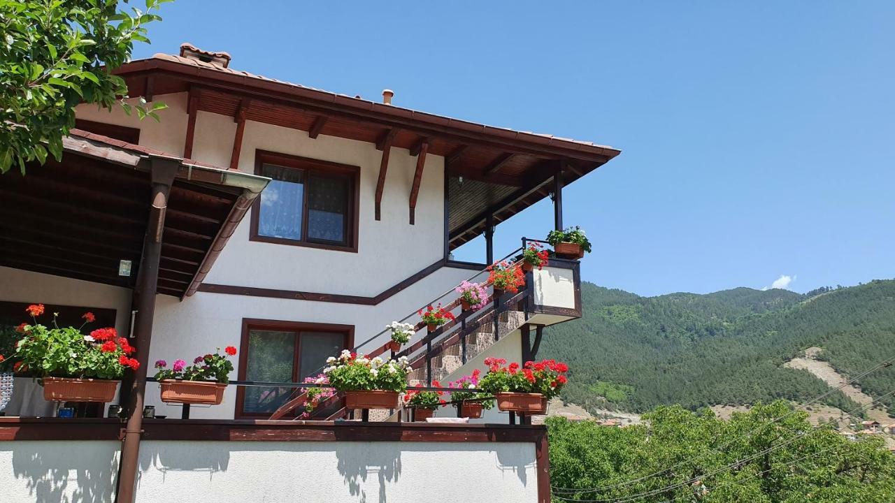 Къща За Гости Солакови ** Devin Exterior photo