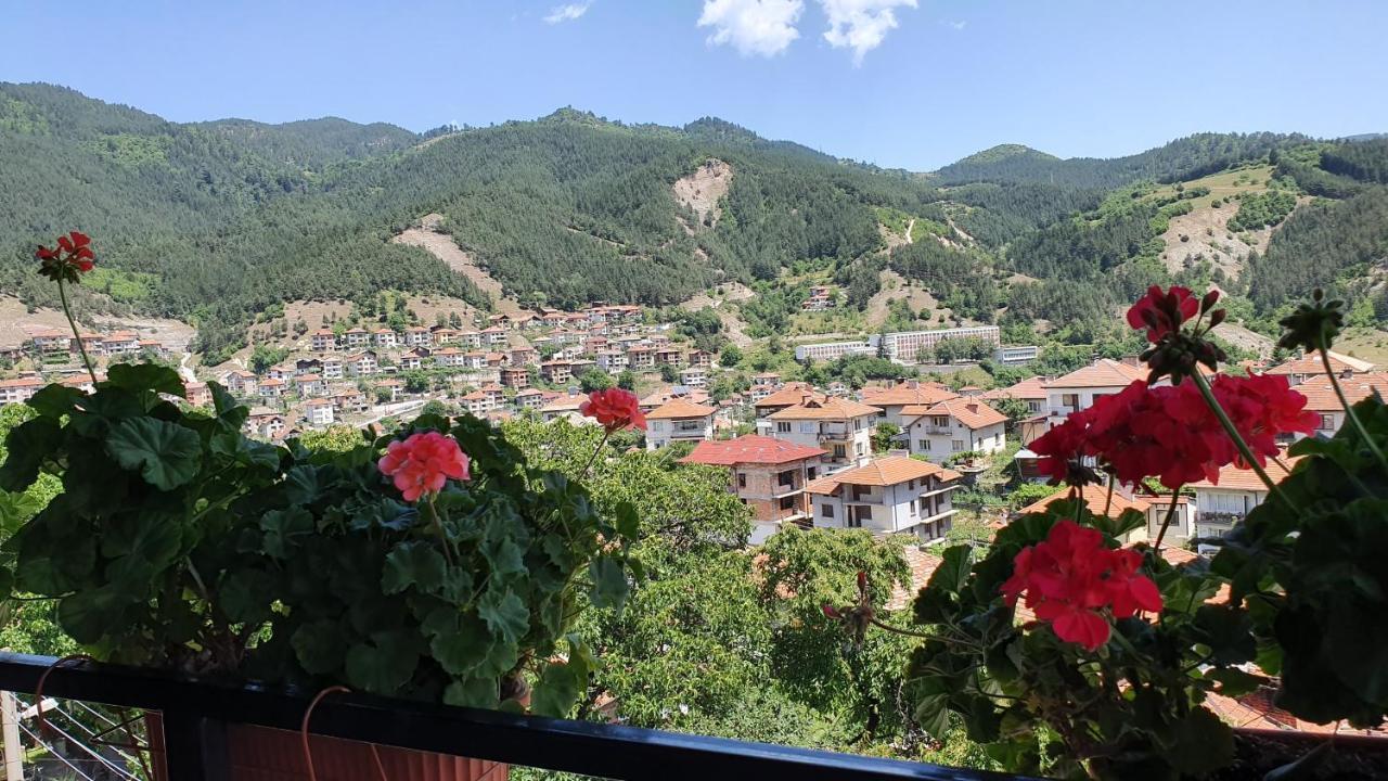 Къща За Гости Солакови ** Devin Exterior photo